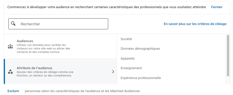 Le panneau de ciblage d'audience dans LinkedIn Campaign Manager