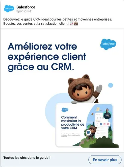 Publicité LinkedIn Salesforce : Guide CRM PME expérience client, mascotte Astro